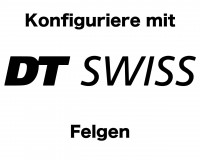 Hinterrad mit DT Swiss Felge (alle Grössen)