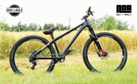 Dartmoor Hornet Custom-4X / Dual Slalom