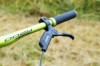 Dartmoor Hornet Custom-4X / Dual Slalom