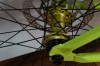 Spank Spoon Custom Bike mit RS Argyle Coil 26"