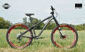 Dartmoor Hornet Custom-Enduro